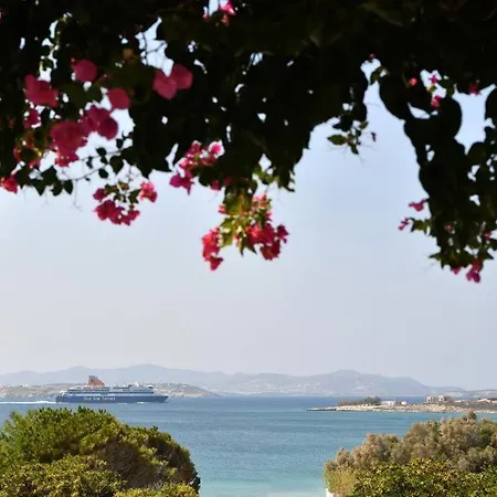 Beachfront-santa Marina Vacation * Parikia (Paros)